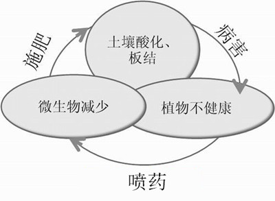 化肥不等于科學，請客觀評判！